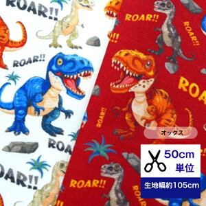 50cmP IbNX uCPĂ鋰-ROARIv Rbg100 n nhCh q l  fW^vg w bXobO В _Ci\[ eBm jq