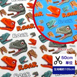 50cmP IbNX u_Ci\[tFCX-ROARIv Rbg100 n nhCh q l  fW^vg w bXobO В _Ci\[ eBm jq