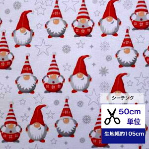 50cmP V[`O uڂȃT^񂽂v Rbg100 n ~ T^ NX}X ~ }XN  nhCh Ⴞ q l  s[X fW^vg  X^