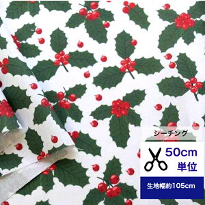 50cmP V[`O uqCM̎v Rbg100 n ~ NX}X ~ }XN  nhCh e[uNX q l  s[X fW^vg bs