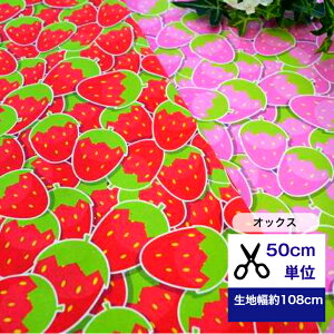 y50cmPʁzuIbNXv? n z r^~J[ pXe  CeA Rbg100 m w  Xgx[  sN ʕ t[c q