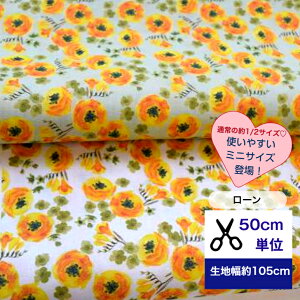 y50cmPʁz u[v ~j~jTCY F̃iLX n z ԕ t[  CeA Rbg100 m w  flower@i` CgO[