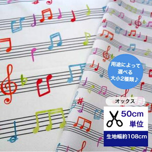 y50cmPʁzuIbNXvS͂ރ~[WbN n z   CeA Rbg100 m w y sAm music ܐ Jt y