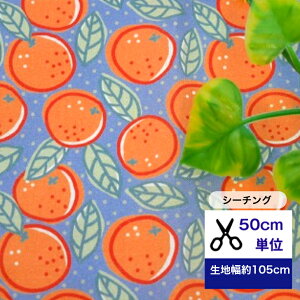 50cmP V[`O uORANGEIvRbg100 n z IW }XN  nhCh fW^vg n w ԕ ݂