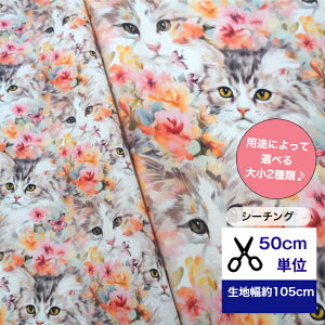 50cmP V[`O uLuxuriousvrrbht[ƔL ԕ L Rbg100 n z ԕ t[ }XN  nhCh fW^vg n w flower  cat