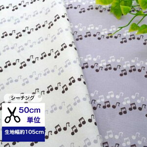 50cmP V[`O ̍s @ ~[WbN Rbg100 n z y music }XN  nhCh fW^vg n w O[ AC{[ 1 2