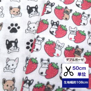 y50cmPʁzy_uK[[zVol.6 Vouڂȃt`u-ǂɂH䕂Ǝ􍜂Ǝv Rbg100 n z  fW^vg Ck  xr[ X^C nhCh h