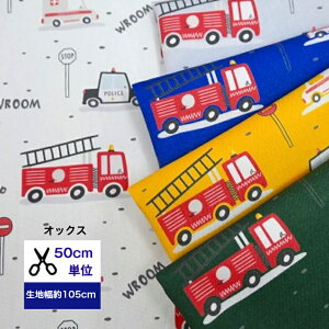 y50cmPʁz IbNX u XL[ 5colorv n z 蕨 ԕ  CeA Rbg100 m w h ͂ pgJ[ {[_[ oX ͂炭 