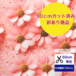 y󂠂50cmJbgρz V[`O yFʗz Rbg100 n z }XN w sN    t[ ̎q ̎q s[X hX }[Kbg RXX