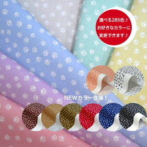 Iׂ285FIy50cmPʁz V[`Ouȑ~small footprintv//tbgvg//L/  ˂/lR//Rbg100 //z/w/}XN///fW^vg/