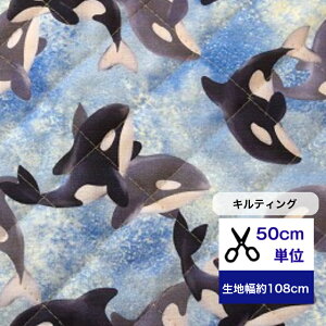 LeBO y50cmPʁz C̉҃V`/C̐/K[[n/Cm/Rbg100/n/z/}XN/w/C/CJ jq V` Lg