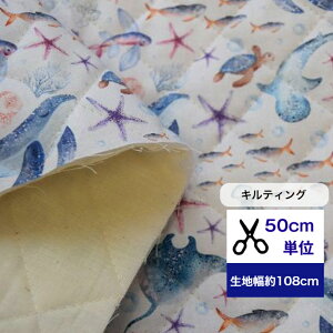 �����ɂ����Ȃ��L���e�B���O��y50cm�P�ʁz�u�C�̒��̊y���v �R�b�g��100�� ���n �z �C�̒��̐������� �C�� �N���Q �X�� �q�g�f �T�� �J�� �G�C �[�C�������w ���� �n���h���C�h ���b�X���o