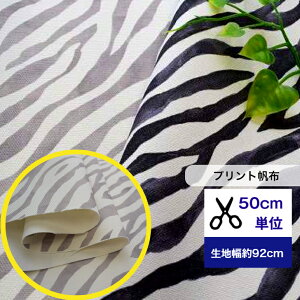 8vgzy50cmPʁzu[uʉ敗v Rbg100 n z Aj}  nhCh  z@܂ V}E} [u ZEBRA g[gobO z΂ TRb