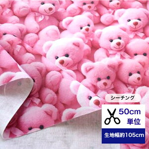y50cmPʁz uV[`OvӂӂsNxA̖ n z ܕ N} bear@xA sN  CeA Rbg100 m w Q  GRobO Jo[O J[e