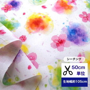 y50cmPʁz uV[`OvFA[ǧz n z ԕ  F@C{[ A[g z  CeA Rbg100 m w Q  GRobO Jo[O J[