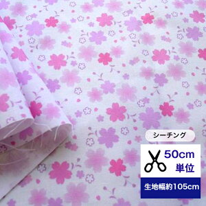 y50cmPʁz uV[`OvtɕU n z ԕ   TN sN  CeA Rbg100 m w Q  GRobO Jo[O J[e a