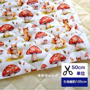 y50cmPʁzLeBO uX̃LmRƉXv Rbg100 n z X LmRw  nhCh bXobO V[YP[X C iPadP[X X}zP[