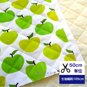 y50cmPʁzLeBO uu₩񂲁v Rbg100 n z 񂲕  w  nhCh bXobO V[YP[X C iPadP[X X}zP[X k