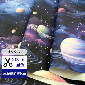 50cmP IbNX uf̃\v Rbg100 n f   F  nhCh  fW^vg Gv w NbVJo[ ubN u[