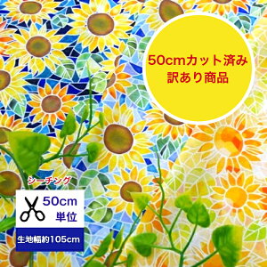 󂠂ɂĂ!!y50cmJbgρzV[`O uЂ܂̃XehKXv Rbg100 /n///w/ fW^vg/a nhCh t[ ԕ Ђ܂   r 