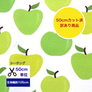 󂠂菤iɂĂIy50cmJbgρzV[`O uu₩񂲁v Rbg100 /n////w/ fW^vg/a nhCh   ь apple