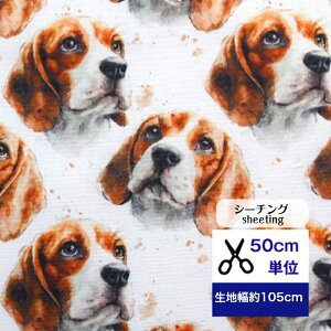 y50cmPʁzV[`O uzXr[Ov Rbg100% n r[O  hbO   fW^vg nhCh Jo Y{ pc Gv J[e