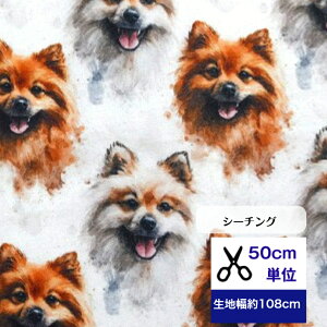 50cmP V[`O uface |jAv Rbg100 n  |jA }XN  nhCh fW^vg 