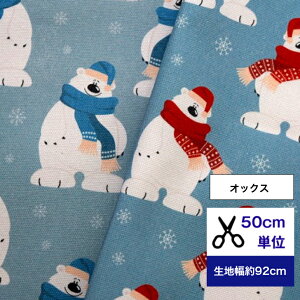 y50cmPʁzuIbNXvȃVN} n z   CeA Rbg100 m w y sAm music ܐ Jt y