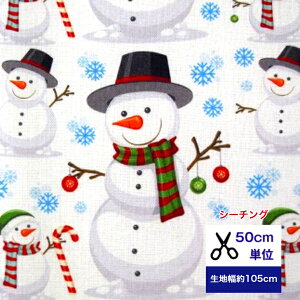 50cmP V[`O unbg̃Xm[}v Rbg100 n ~ NX}X  nhCh q  fW^vg Ⴞ  V11