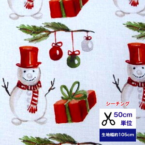 50cmP V[`O uXm[}̃v[gv Rbg100 n ~ NX}X nhCh e[uNX q l  s[X fW^vg Ⴞ V11