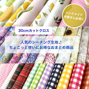 30cm̃V[`OJbgNX  ^CvIׂ [؂Zbg lCV[`OA\[gZbgRbg100 n z  fW^vg w  ԕ 蕨 t[c  