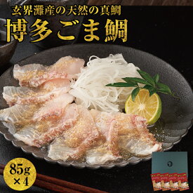 【博多の味・国産天然】博多 ごま鯛セット /皮つき 85g×4個 鯛 刺身 冷凍 鯛茶漬け 福岡 ごまだれ ゴマ鯛 ごまたい 胡麻タイ 天然鯛 鯛の刺身 冷凍さかな 名物 贈り物 食べ物 土産 九州 お取り寄せ 海鮮お茶漬け 海鮮ご飯のお供 海鮮茶漬 ギフト 海鮮通販 福岡土産 お歳暮