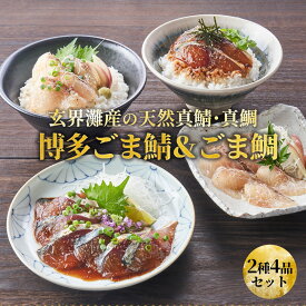 【天然鯖・鯛使用】「彩（いろどり）」 セット / ごま鯖 ごま鯛 各2個 美味しい ごまさば 鯖 鯛 刺身 海鮮ギフトセット お刺身 福岡 お土産 博多 土産 詰め合わせ ご飯のお供 九州 九州土産 お取り寄せ ギフト 海鮮セット 冷凍 ゴマ鯖 冷凍刺身 九州産 魚 プレゼント お歳暮