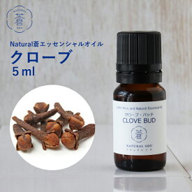 精油クローブ・バッド Clove Bud／エッセンシャルオイル 5ml／インドネシアの希少な精油