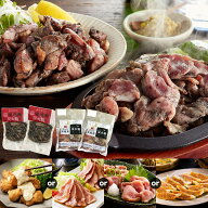 【送料無料】炭火焼+1セット｜炭火焼 炭火焼き鳥 鶏炭火焼 焼き鳥 宮崎 宮崎産 地鶏 鶏肉 地鶏炭火焼 ギ…
