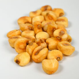 うす塩味 ジャイアントコーン 1000g 1kg 250g チャック付き袋 大容量 徳用サイズ 大粒コーン 千成商会 つまみ蔵 送料無料 沖縄・離島は除く