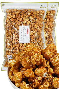 v~A L|bvR[ 450g × 2 zCbvN[ z ZȃRN Ɩpَq XibNَq p َq LR[ |bvR[ 琬 ܂ݑ