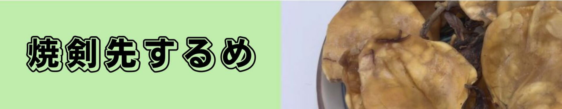 焼剣先するめ