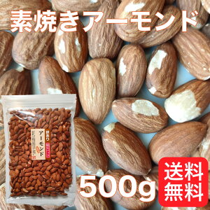 󂠂 fĂ A[h 500g AJY   Ɩp pbN