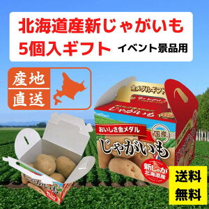 Cxgiip kCYVႪ5MtgyYn ̑i v[g Cxg ii  Ղ Wq zz l lߍ킹 Mtg mxeB ei q   