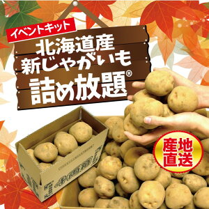 kCYVႪlߕ 痼ijΉyYn ̑i v[g Cxg ii  Ղ Wq zz ߂ق ݂ǂ ݎ l lߍ킹 Mtg m