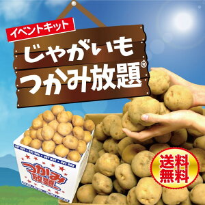 Ⴊ ݕLbg 15y Ⴊ  Yn ̑i v[g Cxg ii  Ղ Wq zz ݂ǂ mxeB ei q   