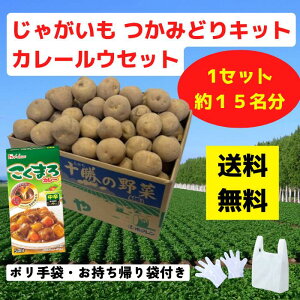 Ⴊ݂ǂLbg J[Et 1Zbg15y CxgLbg Ⴊ  Yn ݂ǂ ݕ mxeB Cxg v[g ̑ ̑i i