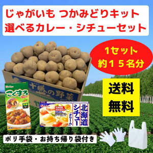 Ⴊ݂ǂLbg IׂJ[EV`[Et 1Zbg15y CxgLbg Ⴊ  Yn ݂ǂ ݕ mxeB Cxg v[