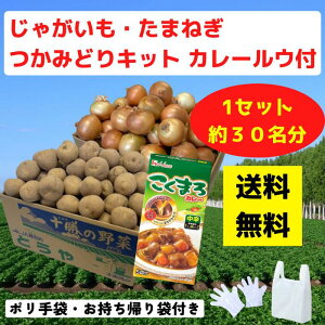 ႪE܂˂ ݂ǂLbg J[Et 1Zbg30y CxgLbg Ⴊ@܂˂  Yn ݂ǂ ݕ mxeB Cxg v