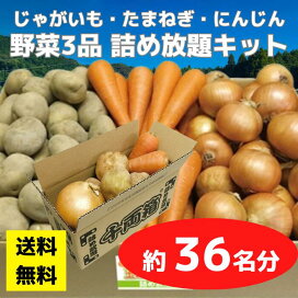 楽天市場】天津甘栗 詰め放題 約22名分 手提げ箱対応 【栗 甘栗 秋の 