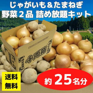 yz2i lߕLbg 1Zbg25yCxgLbg lߕ l lߍ킹 ߂ق ݂ǂ ݎ Mtg mxeB Xv[g ei ii Mt