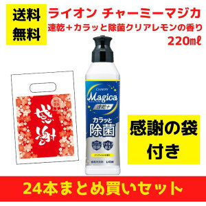 yӂ̑ܕtzCI `[~[}WJ {JbƏۃNA̍ 24{܂ƂߔZbgy   Hp ii tii v[g Mtg mxeB 