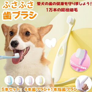 ybgp uV ɂȂtTtT ɍז 5{Zbg ͐ L S o  _炩 p Lp ^ ^ ^ wTbN wuVt 