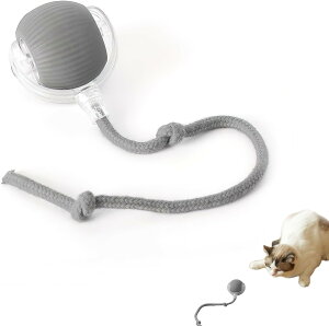 y[zL{[ Lߋ L d] L̃GNTTCY{[  t C^NeBu ybg XgX ^s USB[d L̎{\h